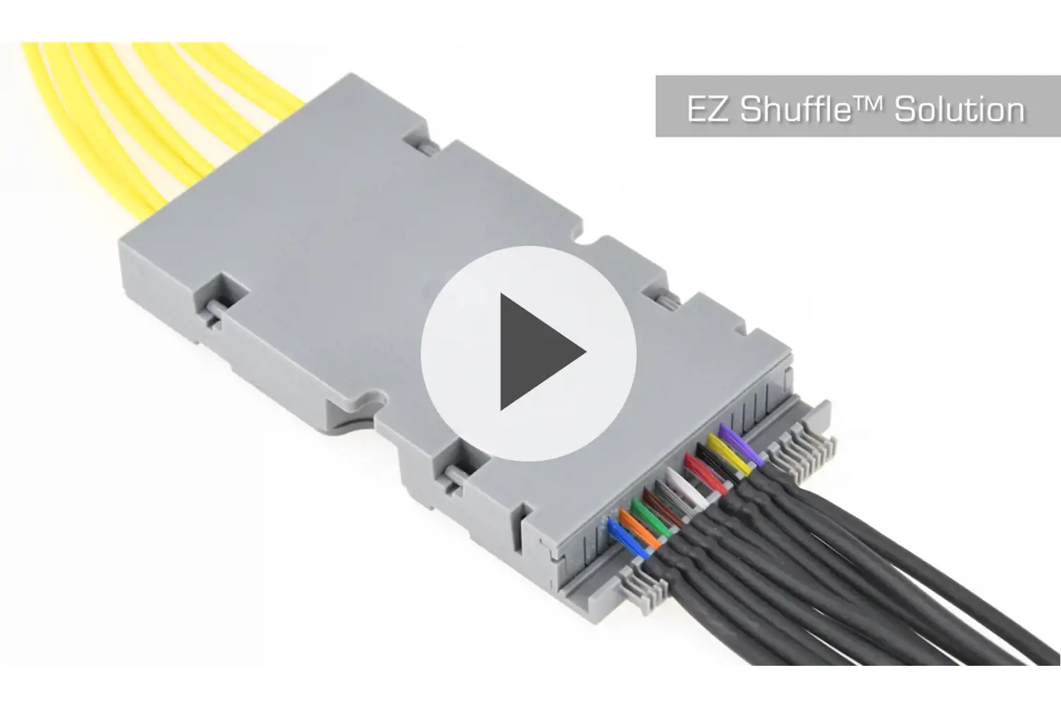 EZ Shuffle™ Video Image