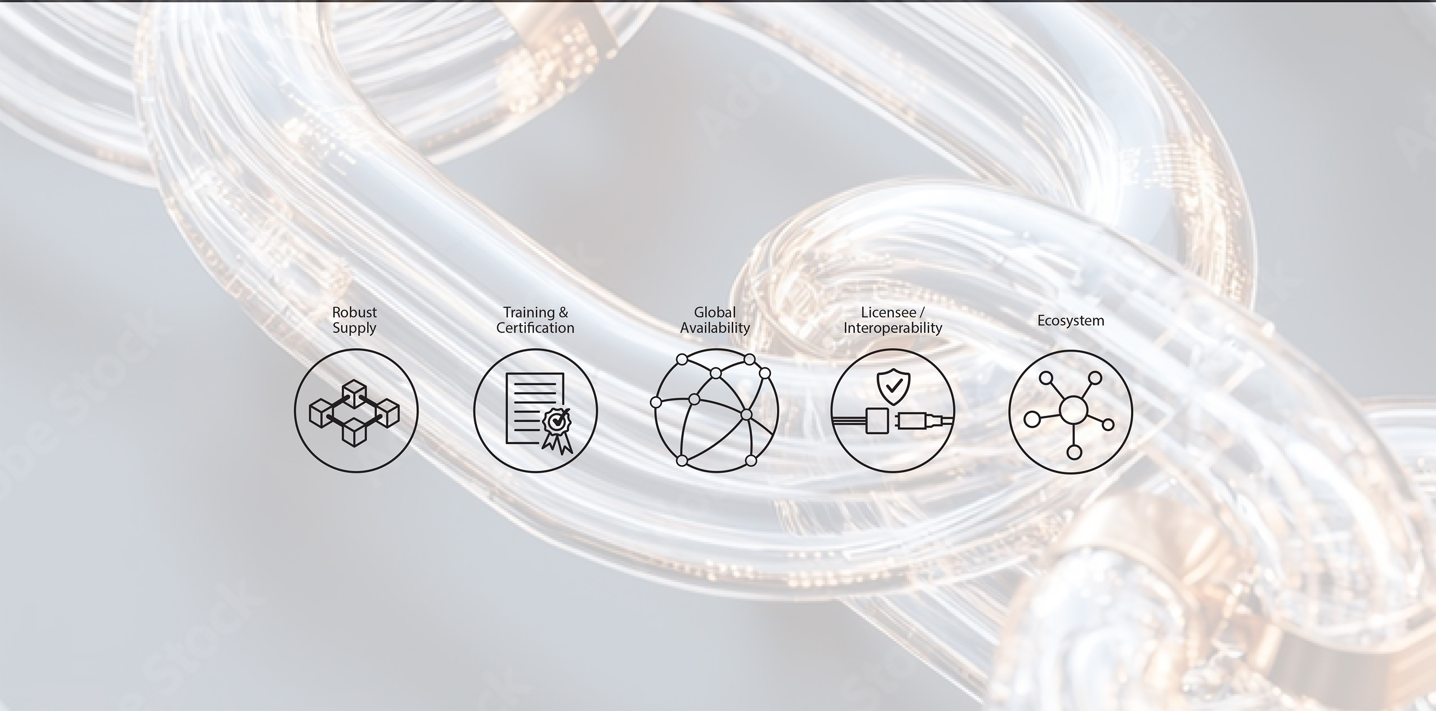 MMC Robust Ecosytem Banner